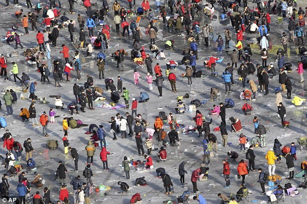 Han cau ca tren bang